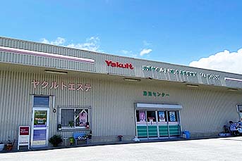 沖縄ヤクルト株式会社うるまセンター